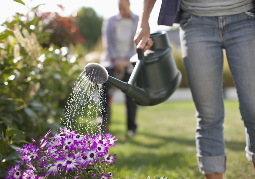 Gardening Water Plants